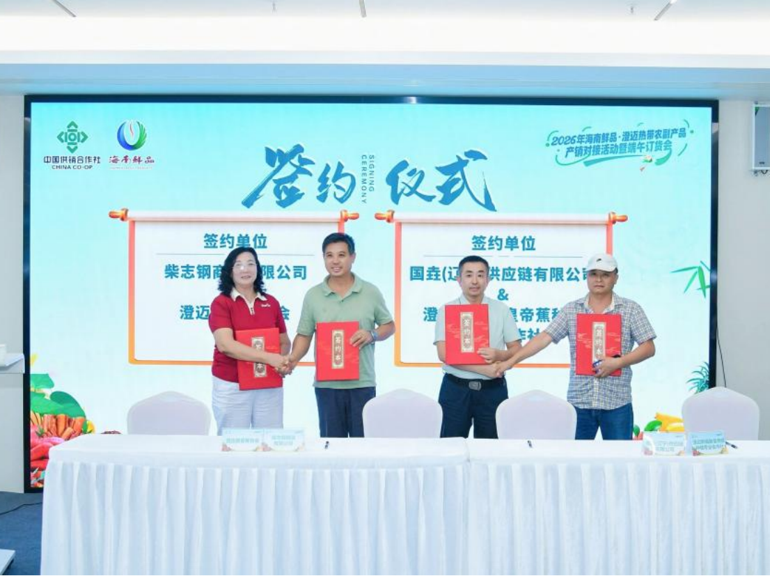 产销对接促增收！2026 海南鲜品・澄迈热带农副产品订货会启幕，端午好物飘香全国
